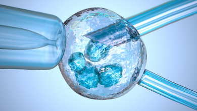 Embriyo Donasyonu Nedir? Hangi Durumlarda Tercih Edilmeli?