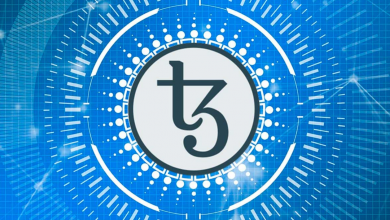 Tezos (XTZ) Nedir, Nasıl Alınır, Nasıl Gönderilir?