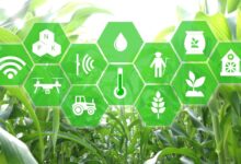 IoT Teknolojisinin Tarımda Sağladığı Büyük Değişim