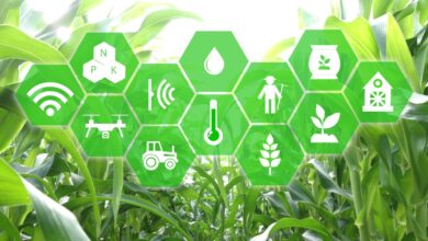 IoT Teknolojisinin Tarımda Sağladığı Büyük Değişim